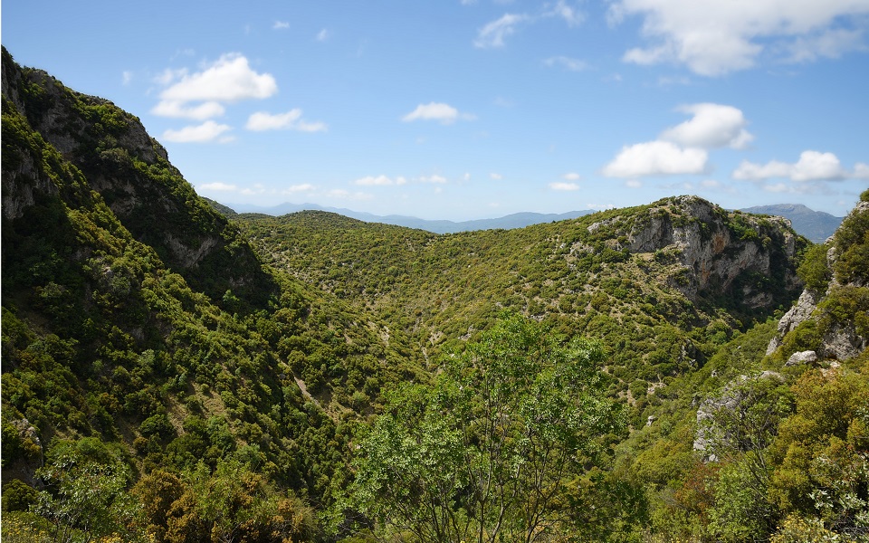 το-όρος-μαίναλο-εντάσσεται-στα-απάτη-562224961