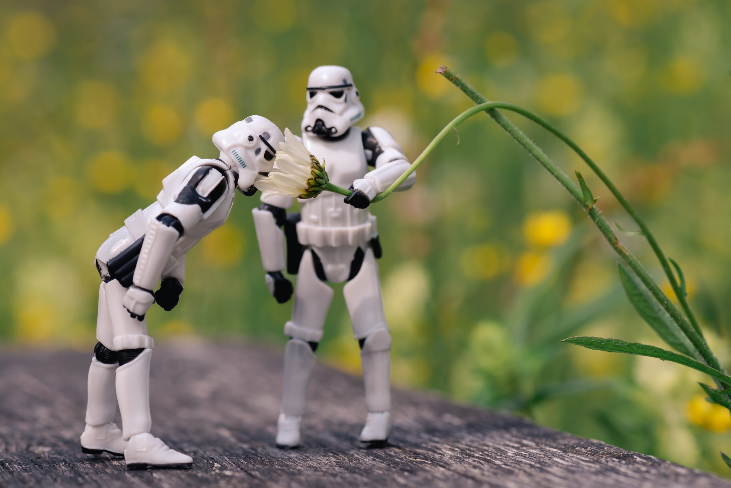 ισραήλ-δημιουργήθηκε-ρομπότ-που-μπορ-562232806