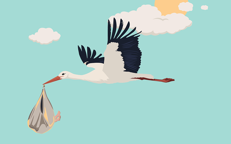 έχει-θέση-ο-μύθος-του-πελαργού-στο-2023-562249774