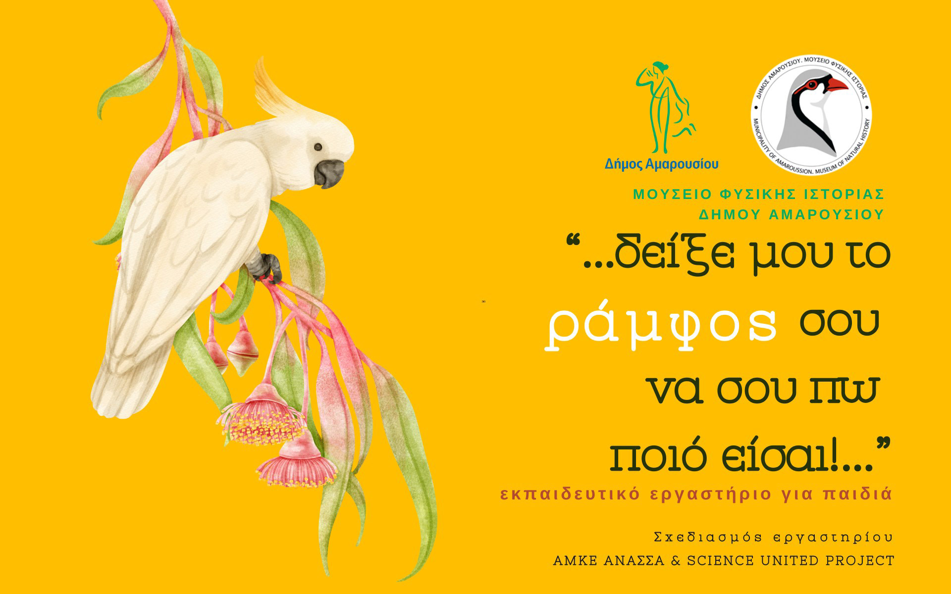 νέο-διαδικτυακό-εργαστήριο-για-τον-κό-562291912