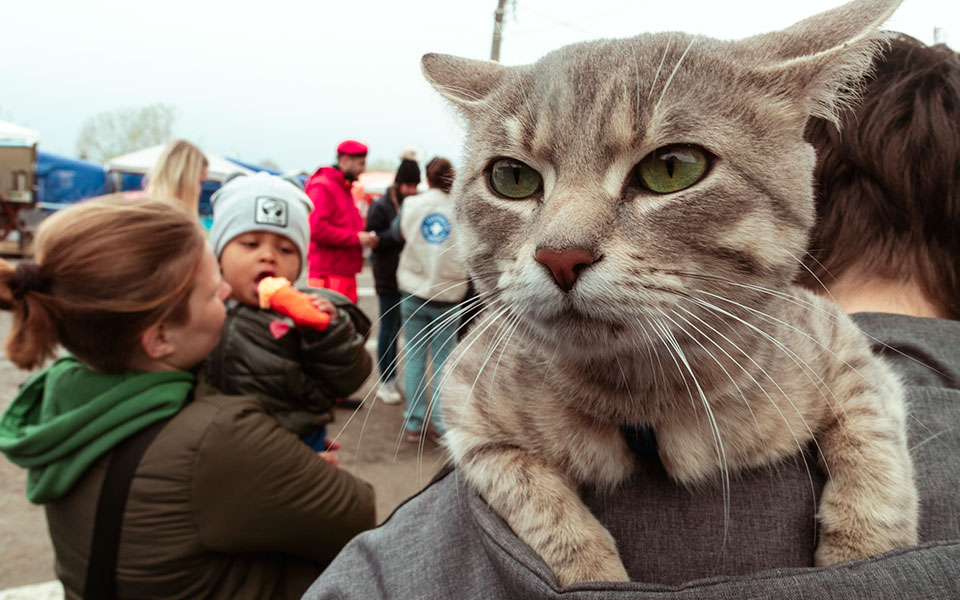 Ουκρανία: Η προσφυγική κρίση μέσα από 32 καρέ του Γιάννη Γιαννακόπουλου-2