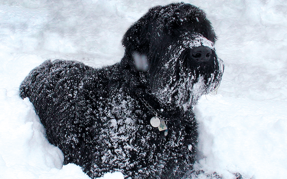 πώς-επιδρούν-οι-ανθρώπινες-φοβίες-στα-562279792