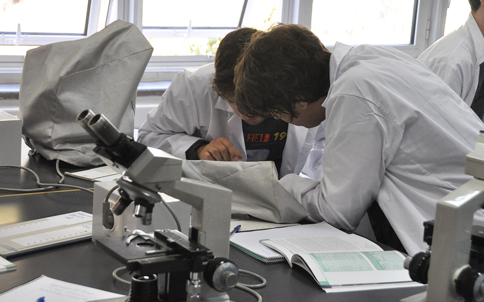 πανεπιστήμια-ο-μεγάλος-συνωστισμός-σ-562271971