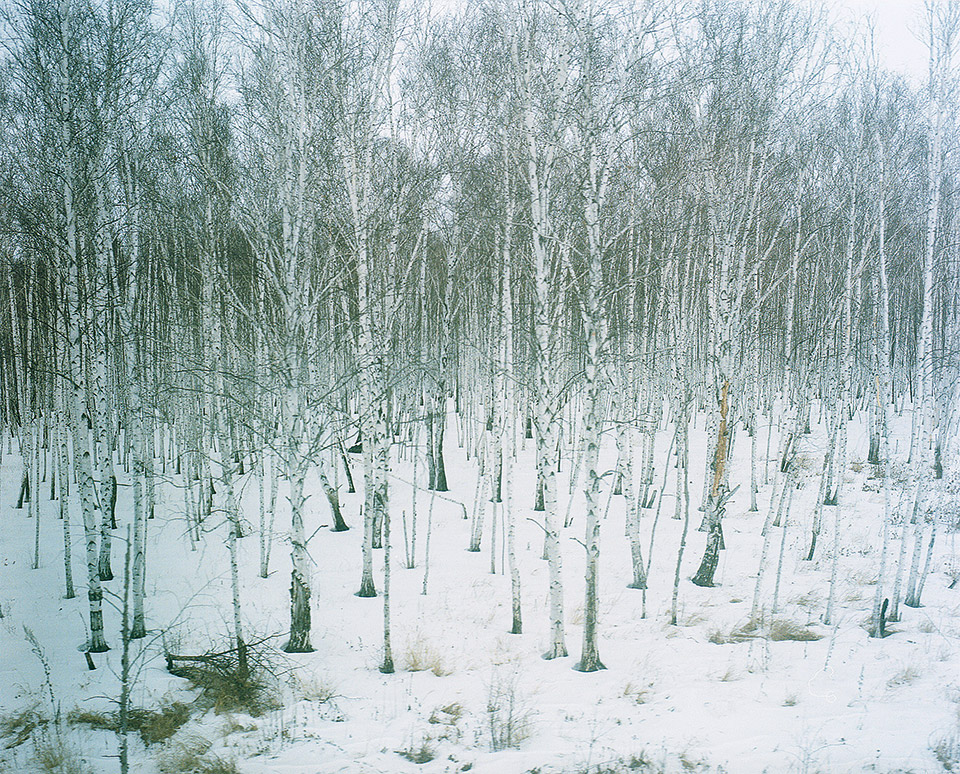 Ευρώπη: Από το Βόρειο Σέλας της νορβηγικής νύχτας στην ταβέρνα του Ντουνιά, στα Χανιά-8