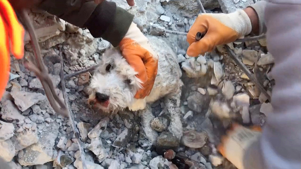 το-άλλο-πρόσωπο-του-σεισμού-562270954