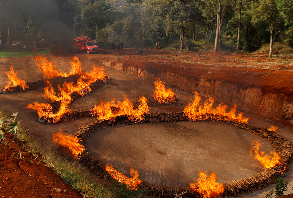 Βασιλικό spinning-1