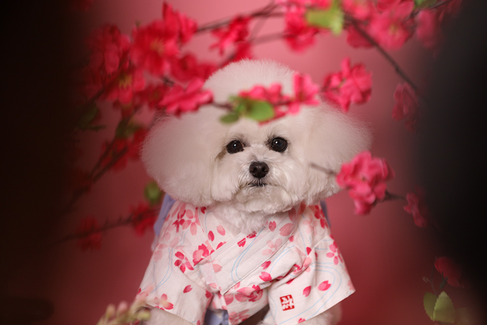 Μια φορά τον χρόνο-1