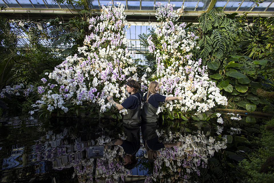 μια-φορά-τον-χρόνο-562259353