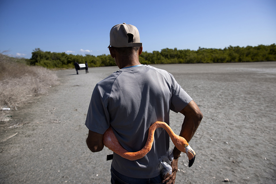 Για την μόδα-1