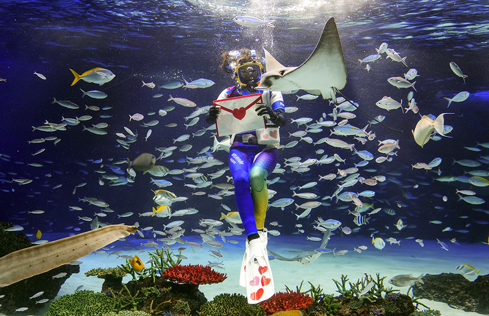 Για την παγκόσμια ειρήνη-2