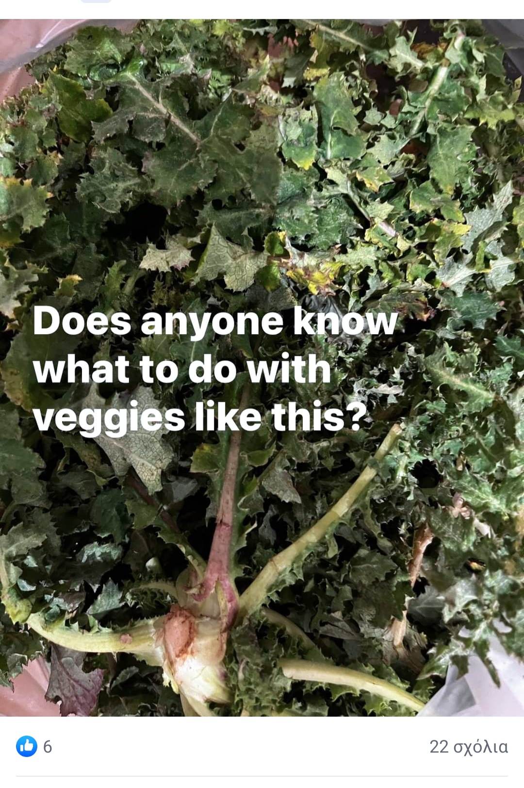 Από τη Λετονία και τoν Λίβανο στην Αθήνα – Τι αγαπούν οι ψηφιακοί νομάδες στη χώρα μας-1