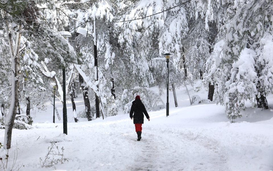 δεδδηε-πλήρης-επιδιόρθωση-των-βλαβών-562264837
