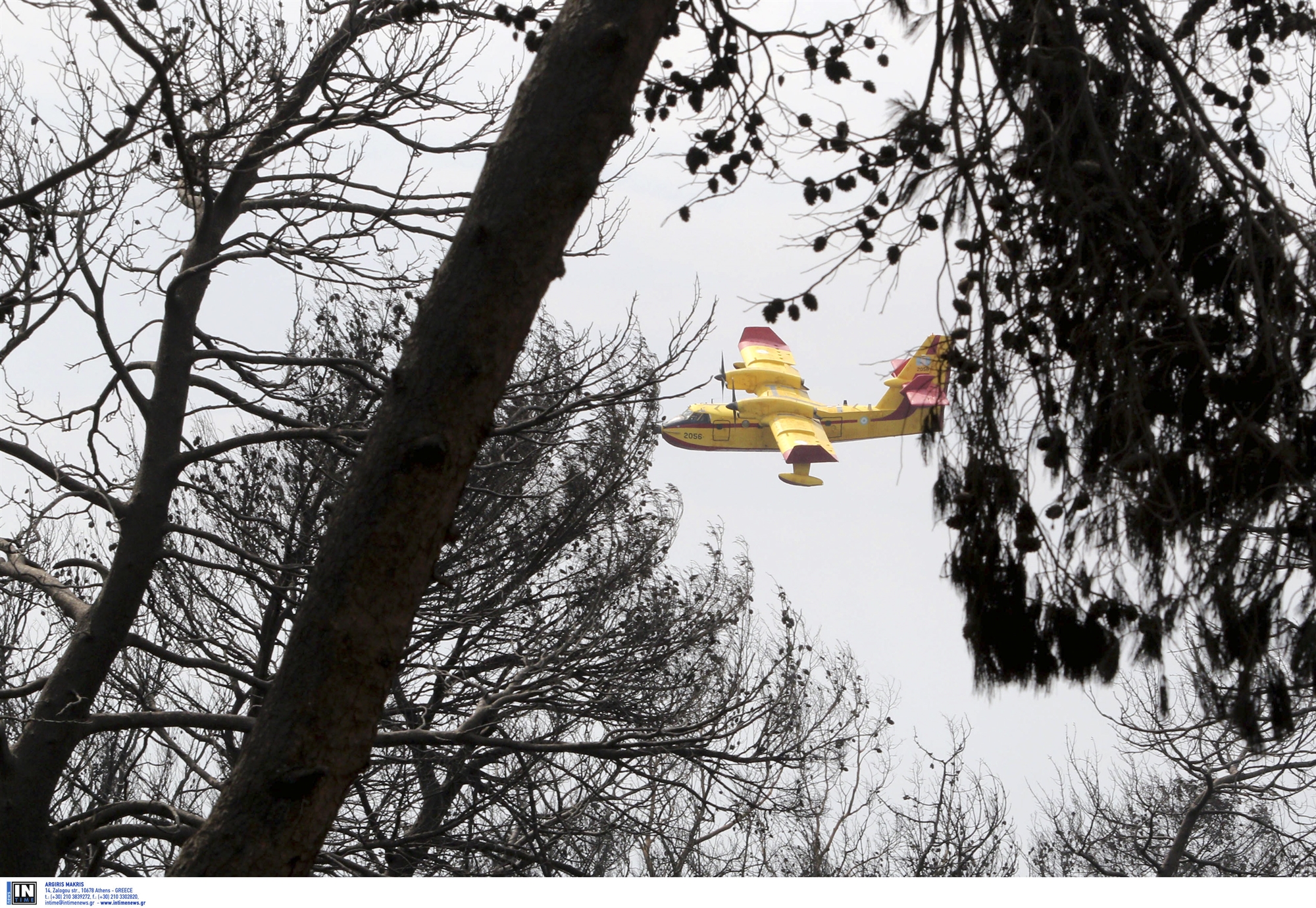 δίκη-για-το-μάτι-εγκληματικές-παραλεί-562271299