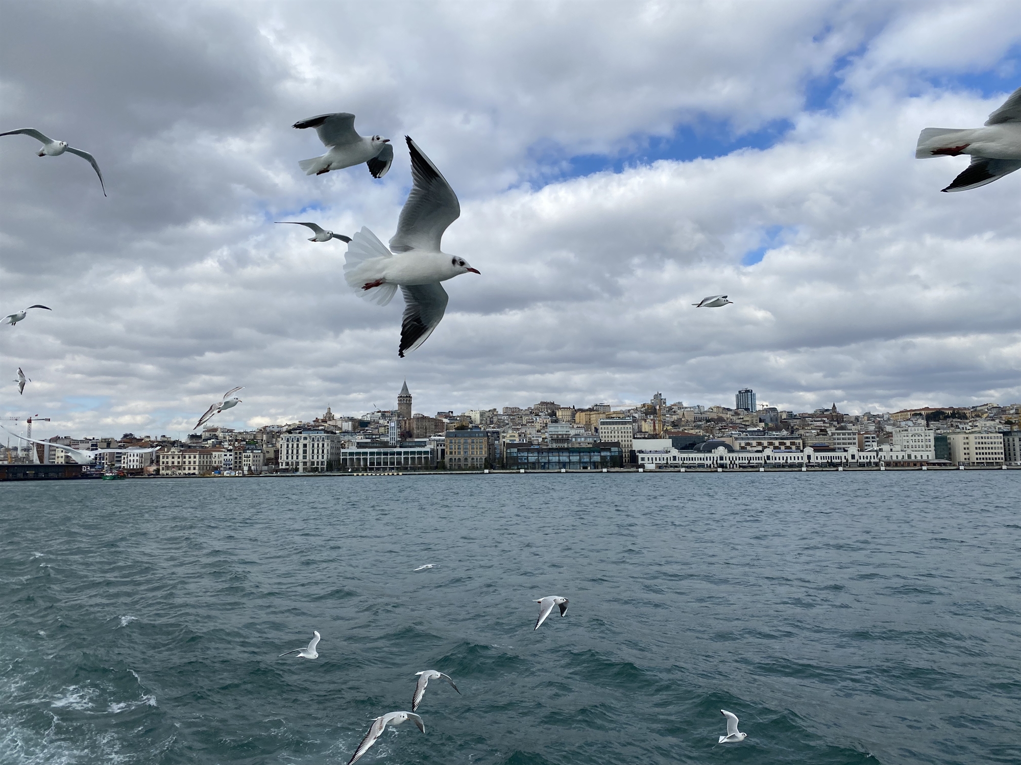 «Geçmiş olsun». Μου έσφιγγαν το χέρι όταν έλεγα πως είμαι από το Yunanistan-2