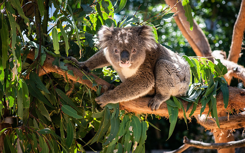 52 προορισμοί για το 2023-7
