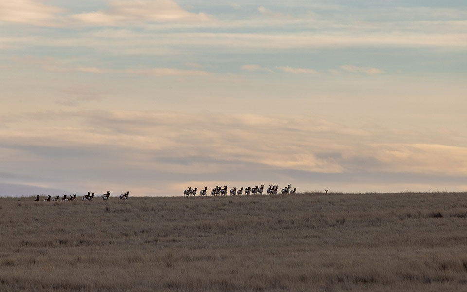 52 προορισμοί για το 2023-38
