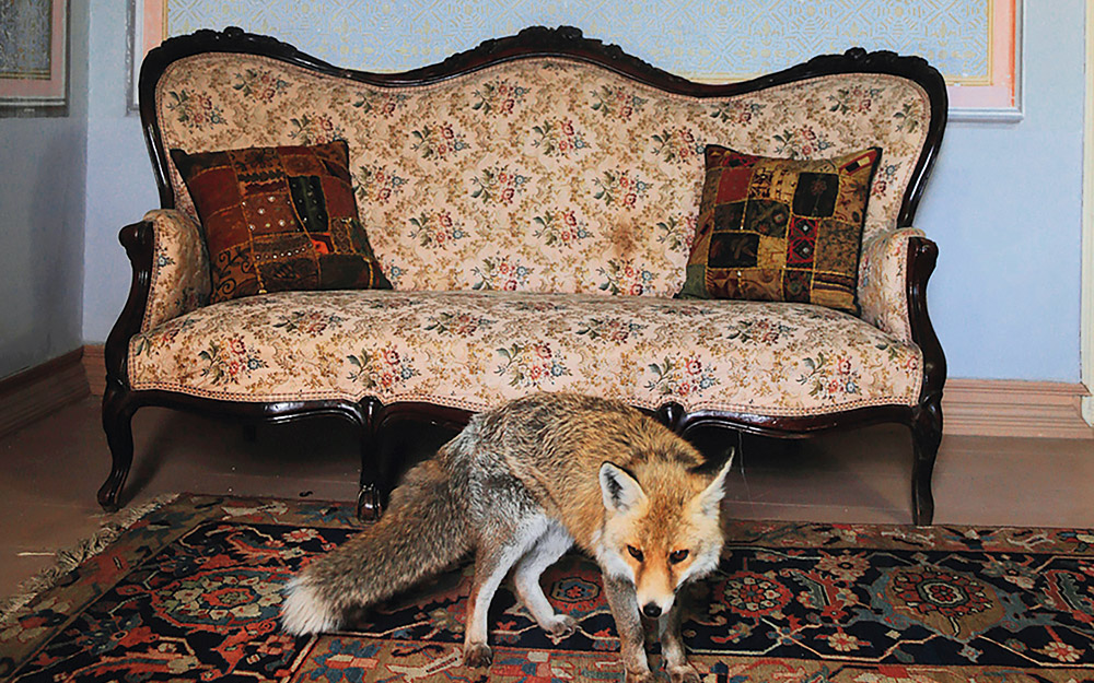 down-to-earth-ποια-είναι-η-συνδεσή-μας-με-τη-γη-562276099