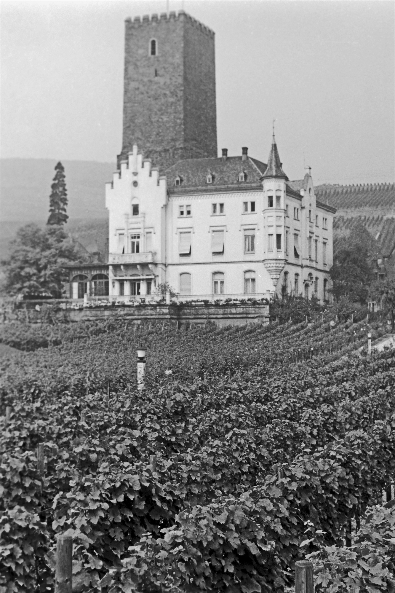 Καρλ Γιουνγκ: Ο πατέρας της Αναλυτικής Ψυχολογίας-5