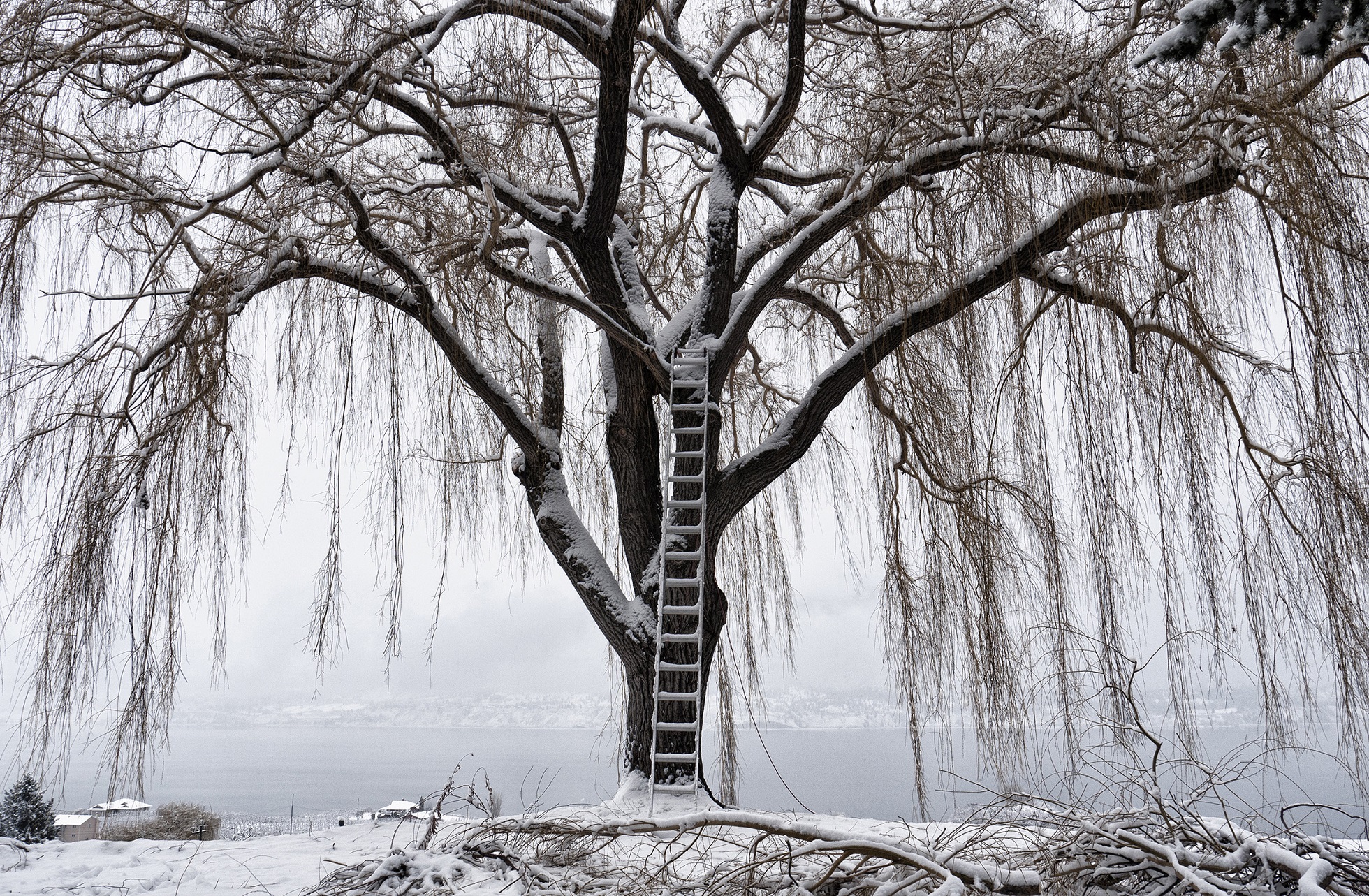το-κινητό-και-η-νίκη-του-φόβου-562295578