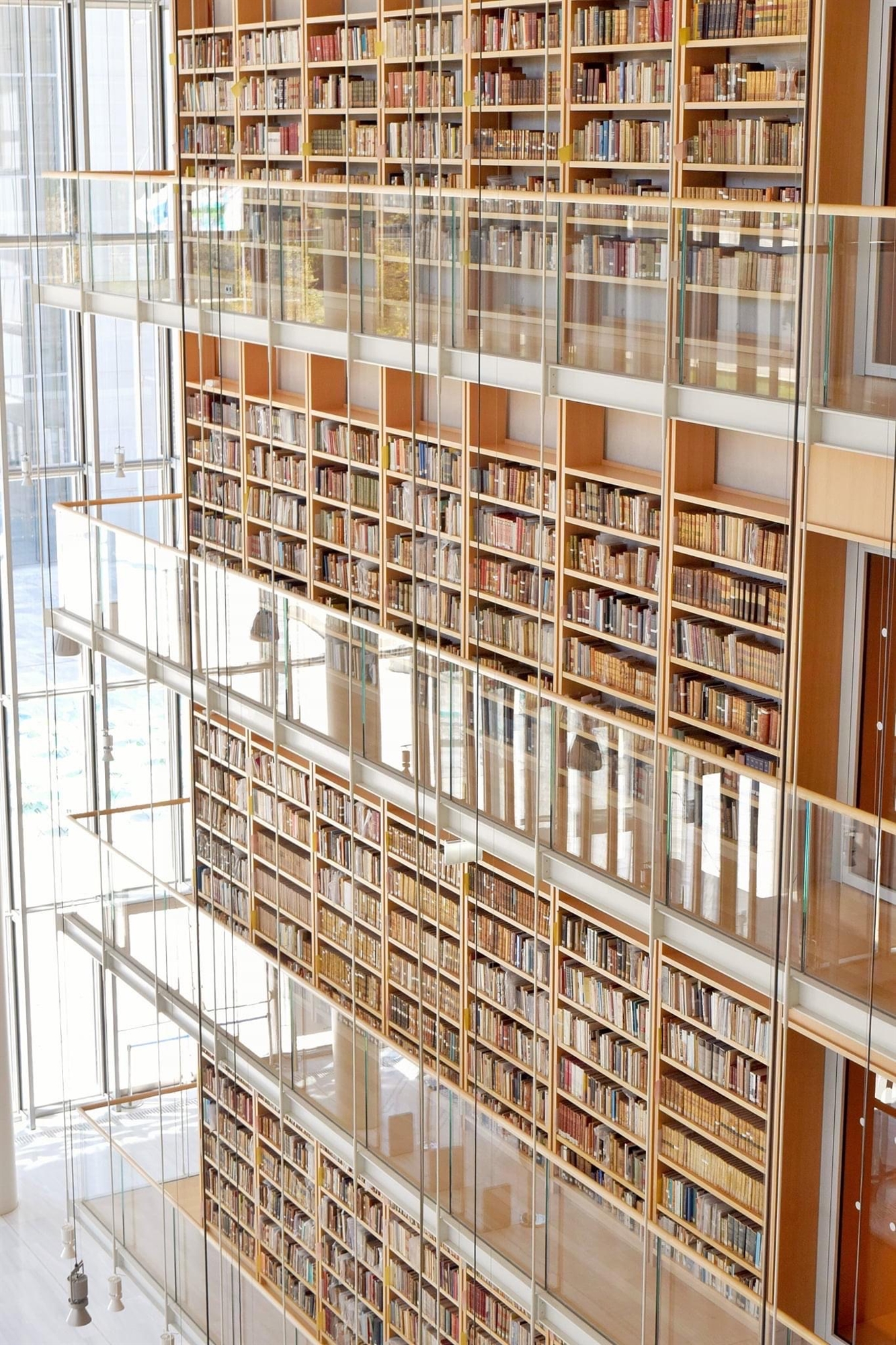 Φίλιππος Τσιμπόγλου: Ευγενής, σεμνός, δίκαιος-1