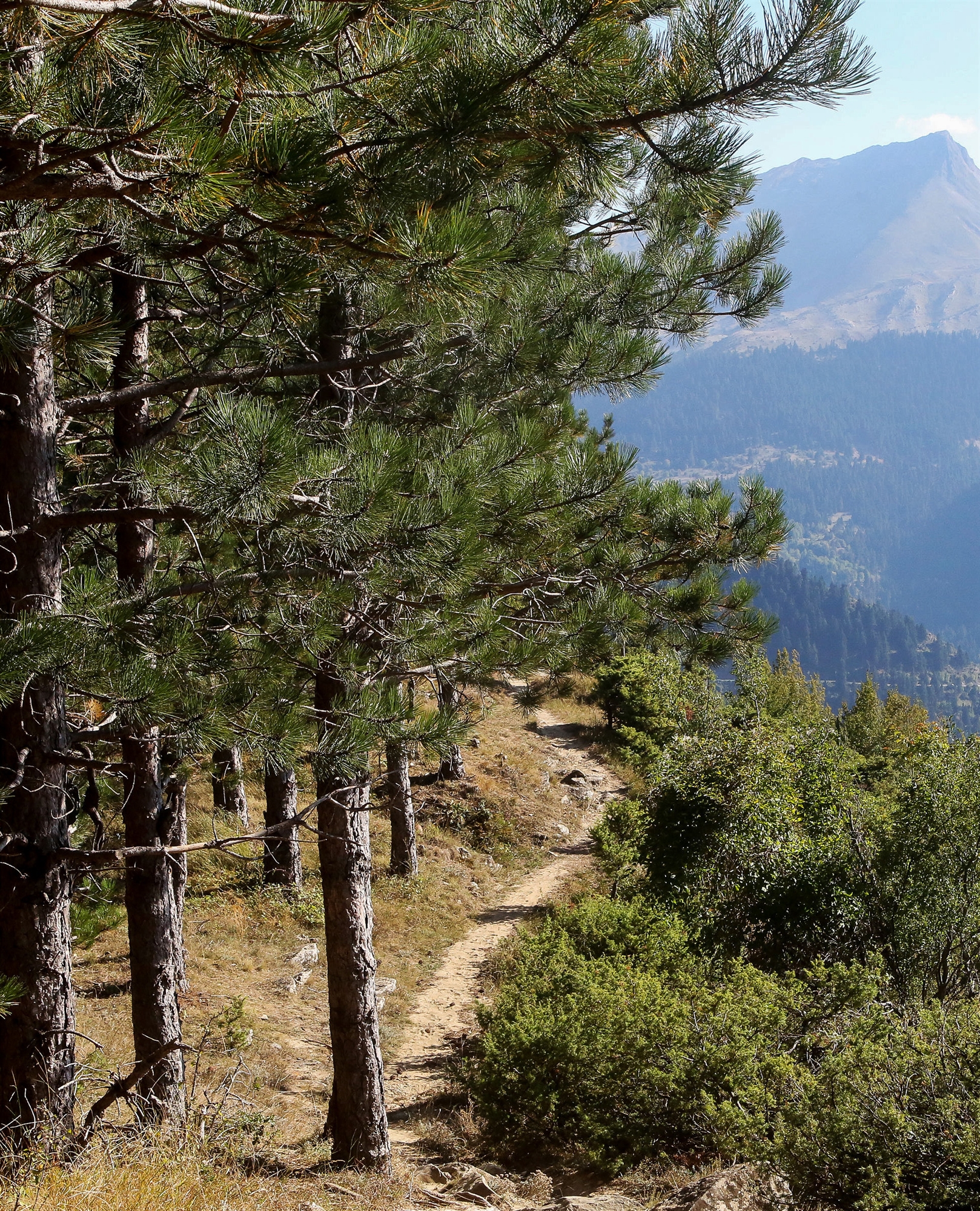 δημιουργία-δικτύου-μονοπατιών-πανελ-562288786