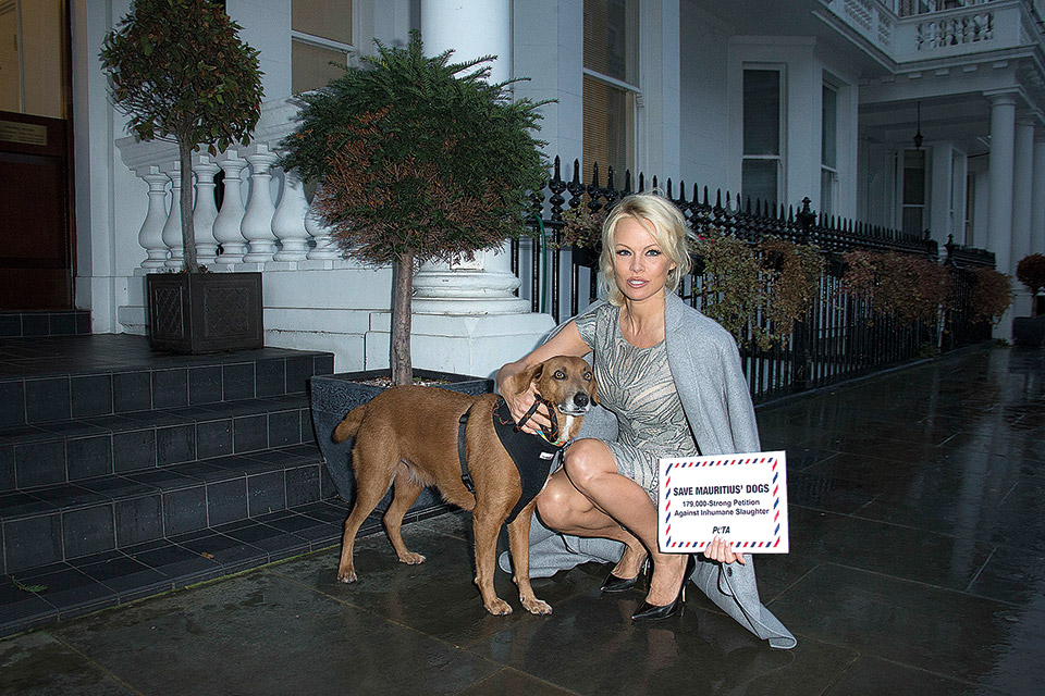 Η Πάμελα Άντερσον με δικά της λόγια-3