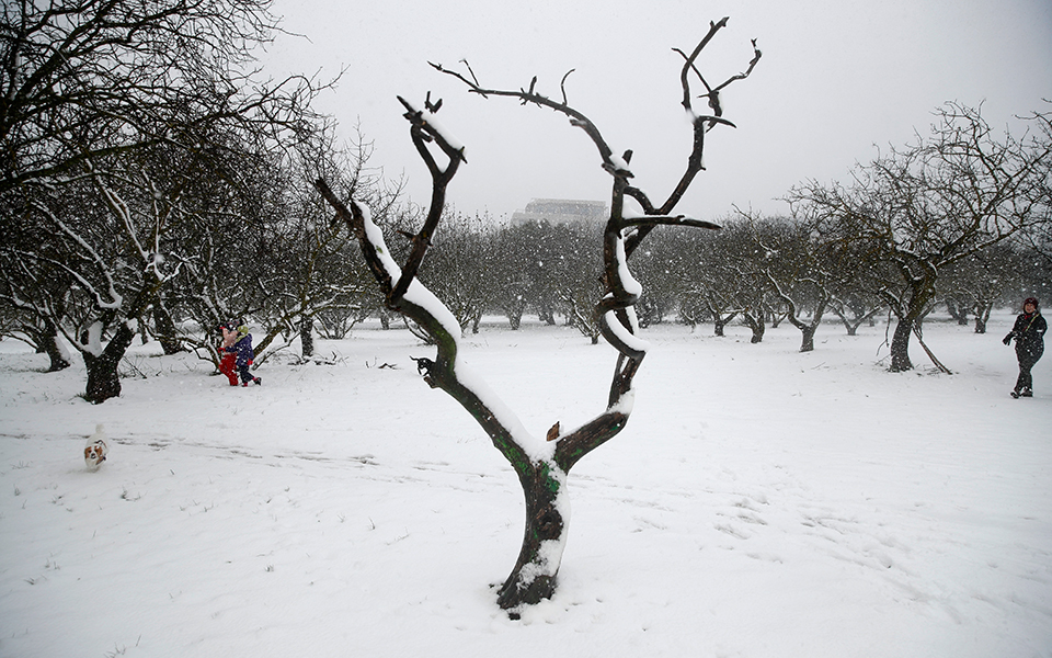κακοκαιρία-μπάρμπαρα-ο-χάρτης-το-562263871