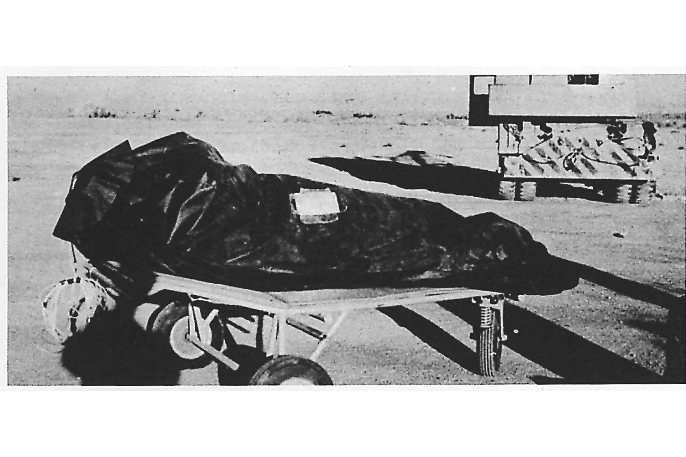 Από την επίπεδη γη ως τα πουλιά που δεν υπάρχουν: Δέκα «εξοργιστικές» θεωρίες συνωμοσίας-5