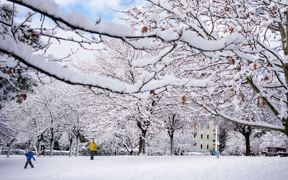 το-χιόνι-έφτασε-μέχρι-τη-θάλασσα-έ-562266193