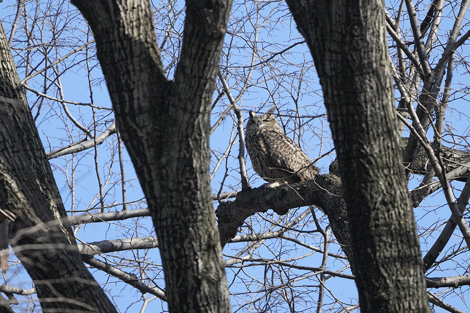 Για την μόδα-2