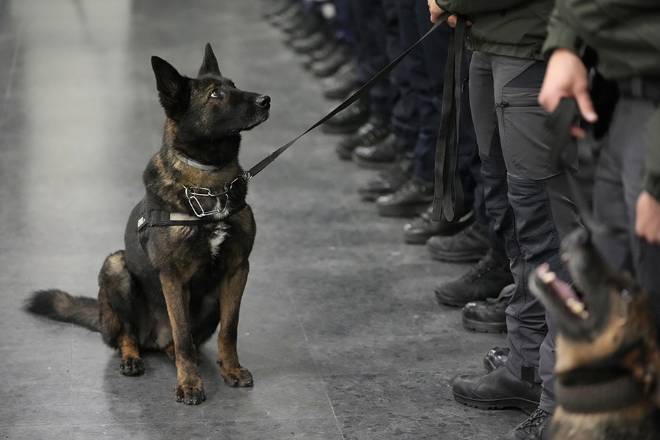 Το άλλο πρόσωπο του σεισμού-3