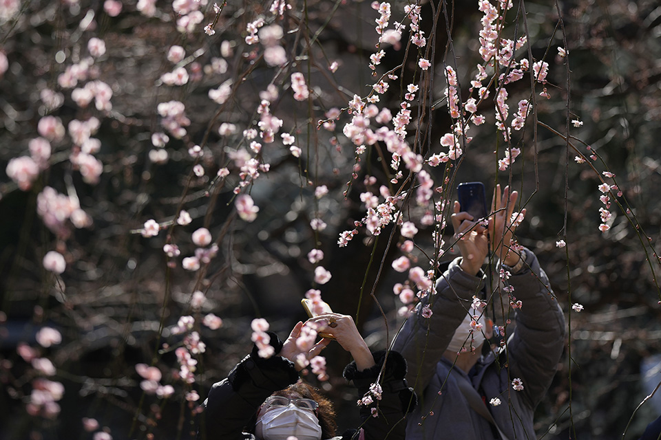 πρόγευση-562280590