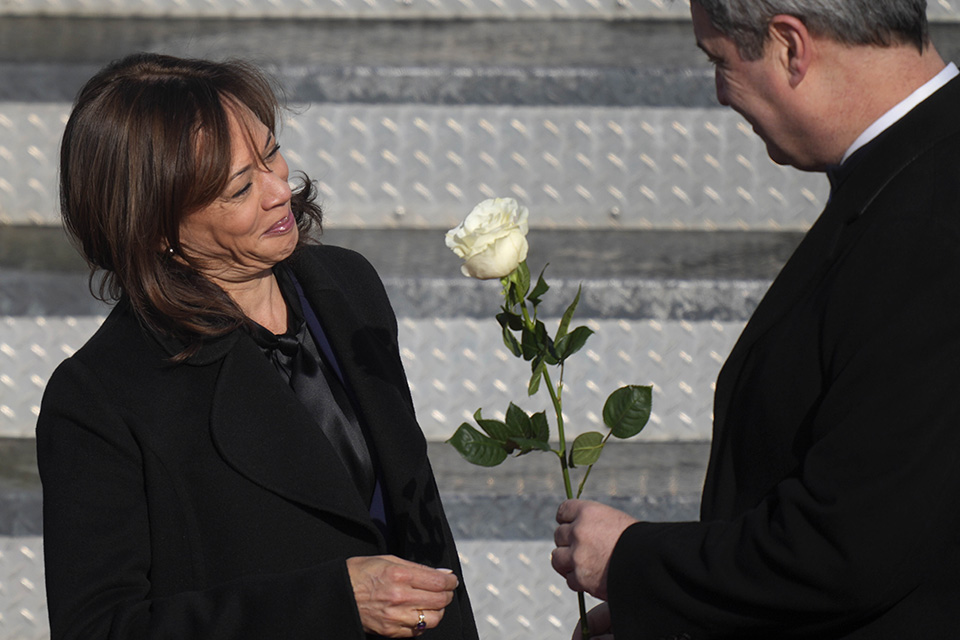 ασφάλεια-και-τριαντάφυλλα-562282567