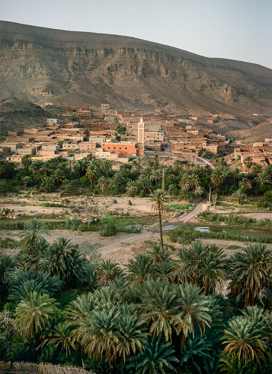 Αφρική: Από τα σπάνια θηλαστικά της Μοζαμβίκης στις δροσερές οάσεις του Μαρόκου-4