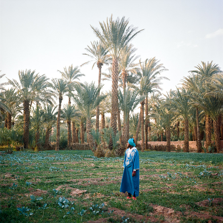 Αφρική: Από τα σπάνια θηλαστικά της Μοζαμβίκης στις δροσερές οάσεις του Μαρόκου-6