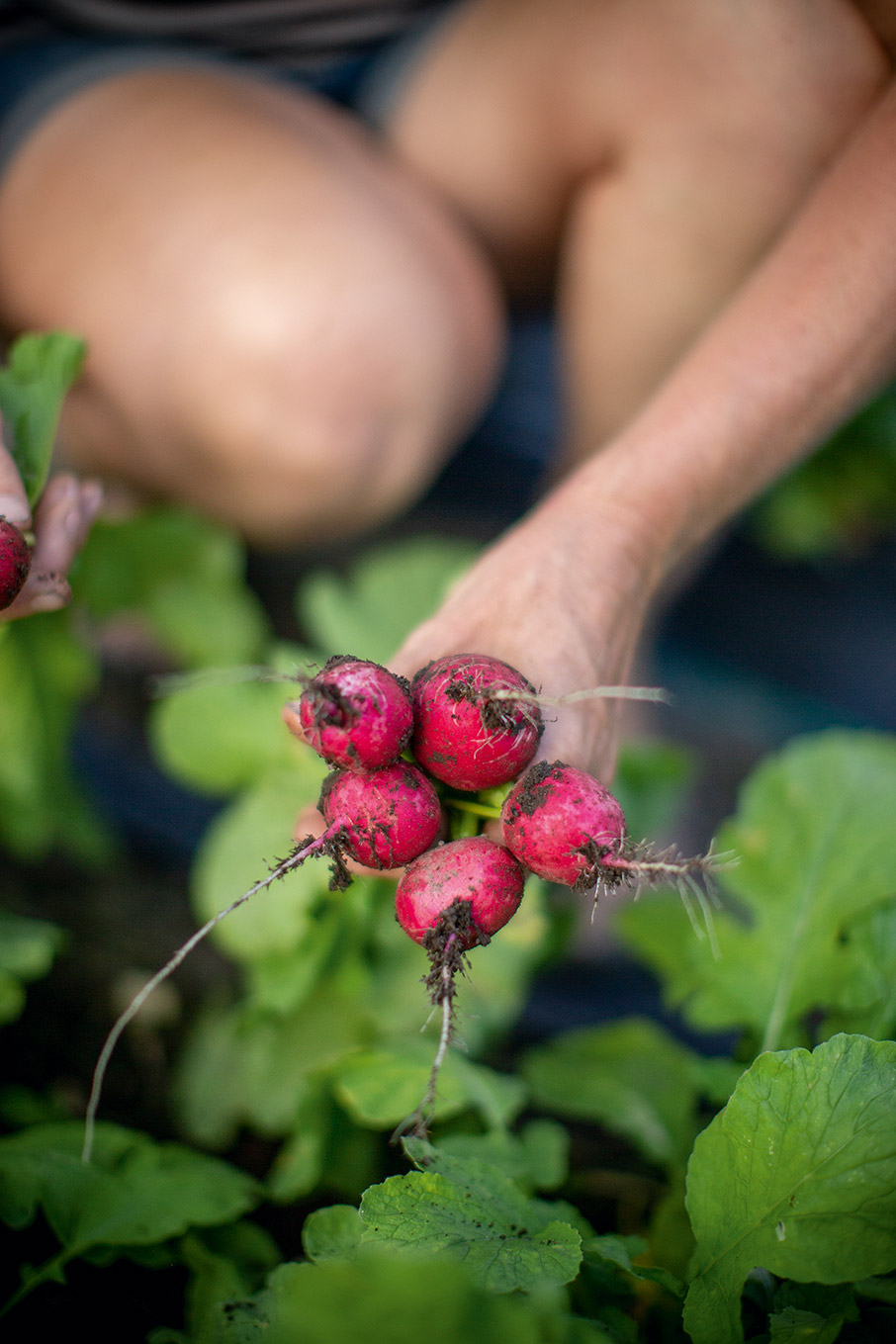 Ωκεανία: Κάνοντας εθελοτουρισμό σε μια βιολογική φάρμα της Νέας Ζηλανδίας-1