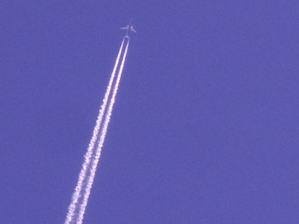 Από την επίπεδη γη ως τα πουλιά που δεν υπάρχουν: Δέκα «εξοργιστικές» θεωρίες συνωμοσίας-6