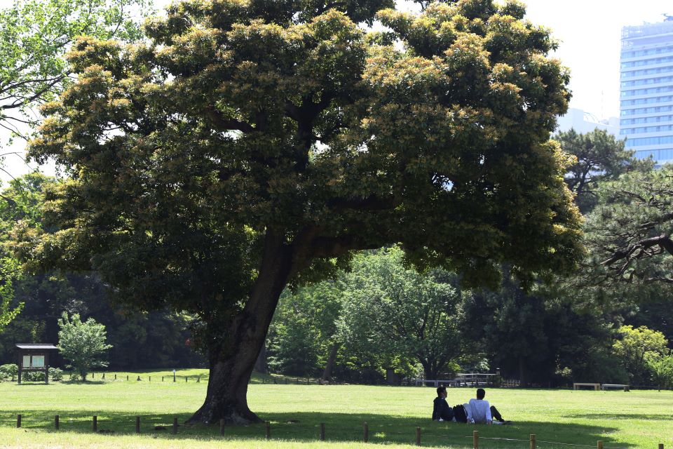 αν-θέλετε-να-είστε-χαρούμενοι-αντιμε-562299343