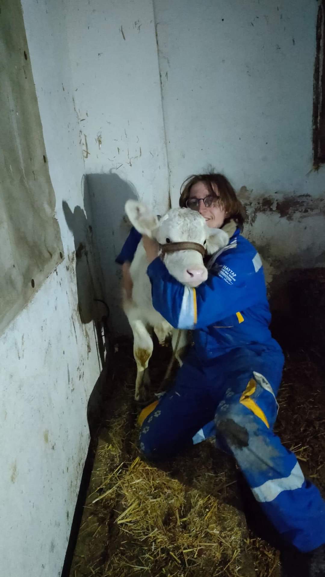 Διασώζοντας ζώα από τα συντρίμμια: «Έμειναν χωρίς τροφή και νερό δίπλα στους νεκρούς ιδιοκτήτες τους»-2