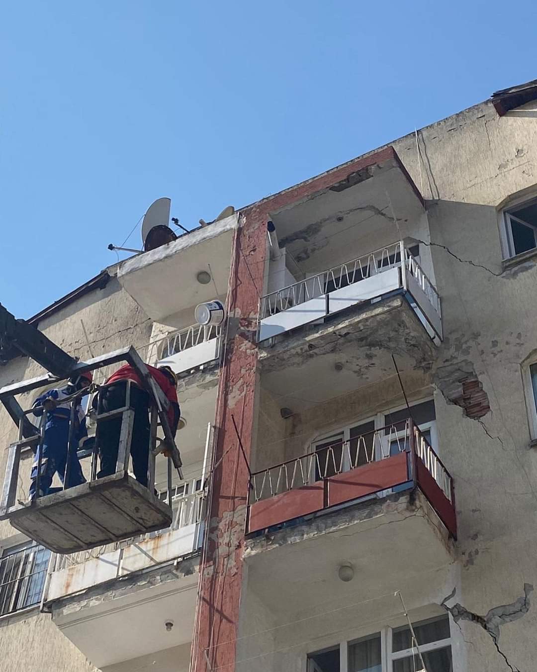 Διασώζοντας ζώα από τα συντρίμμια: «Έμειναν χωρίς τροφή και νερό δίπλα στους νεκρούς ιδιοκτήτες τους»-3