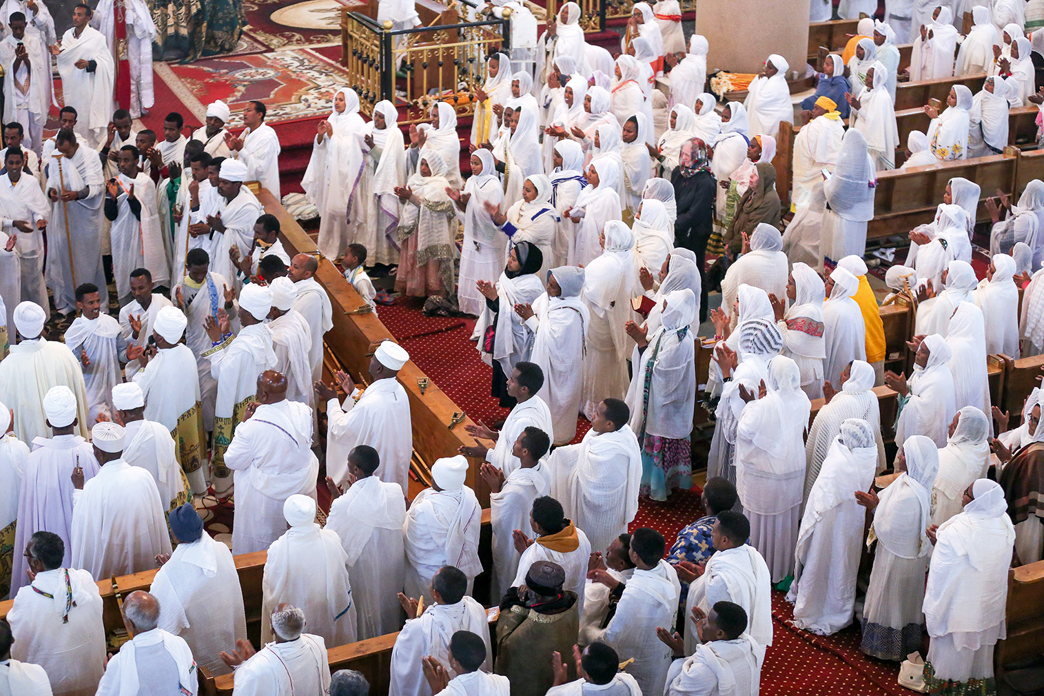 Αφρική: Από τα σπάνια θηλαστικά της Μοζαμβίκης στις δροσερές οάσεις του Μαρόκου-2