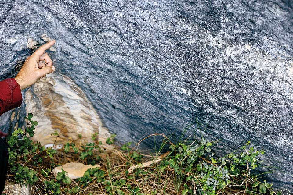 Το μονοπάτι της Καισαριανής είναι το νέο πράσινο hub της Αθήνας-9