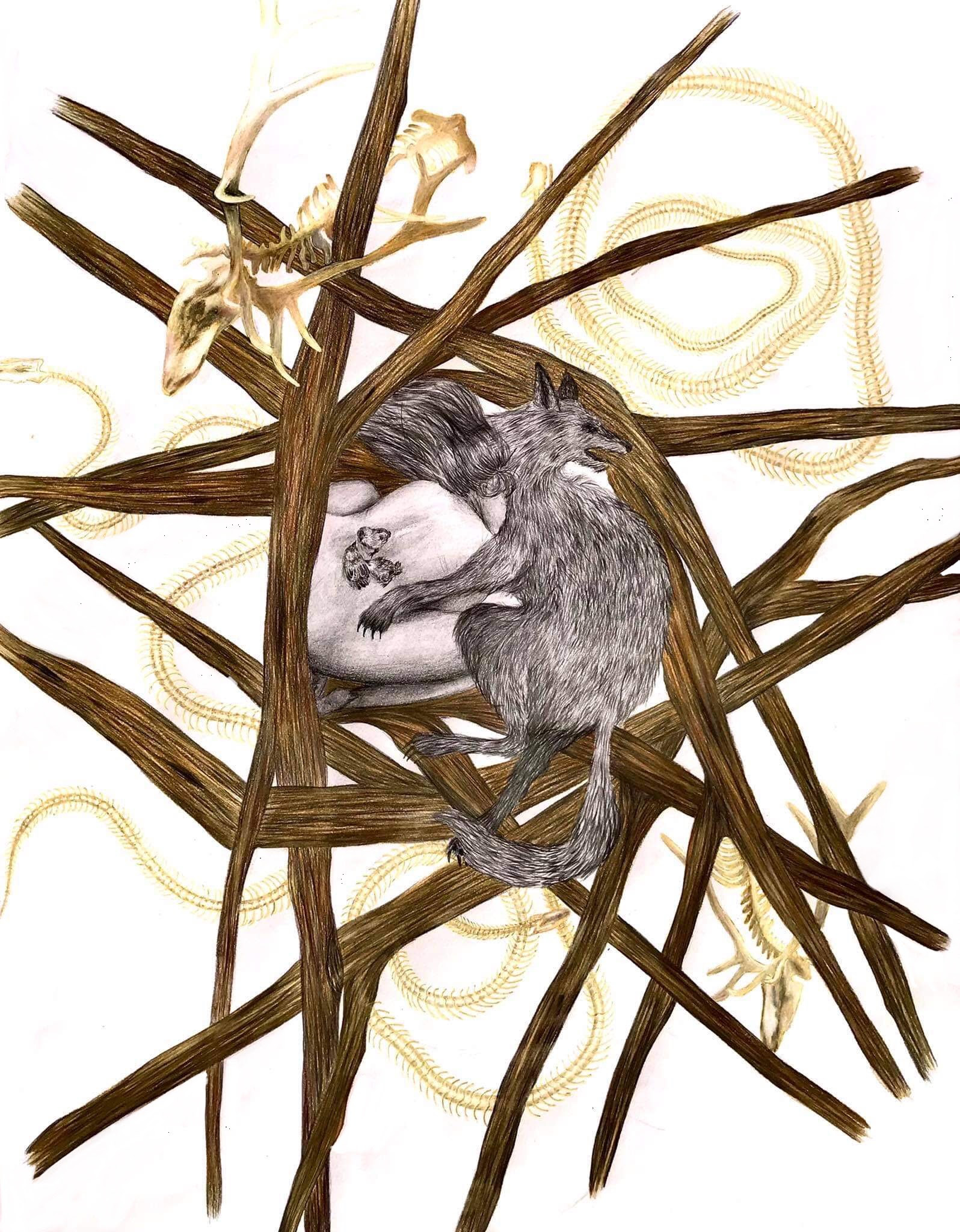 Υαλουργίες, βιτρώ, ζώα του δάσους και δυναμικές γυναίκες-2