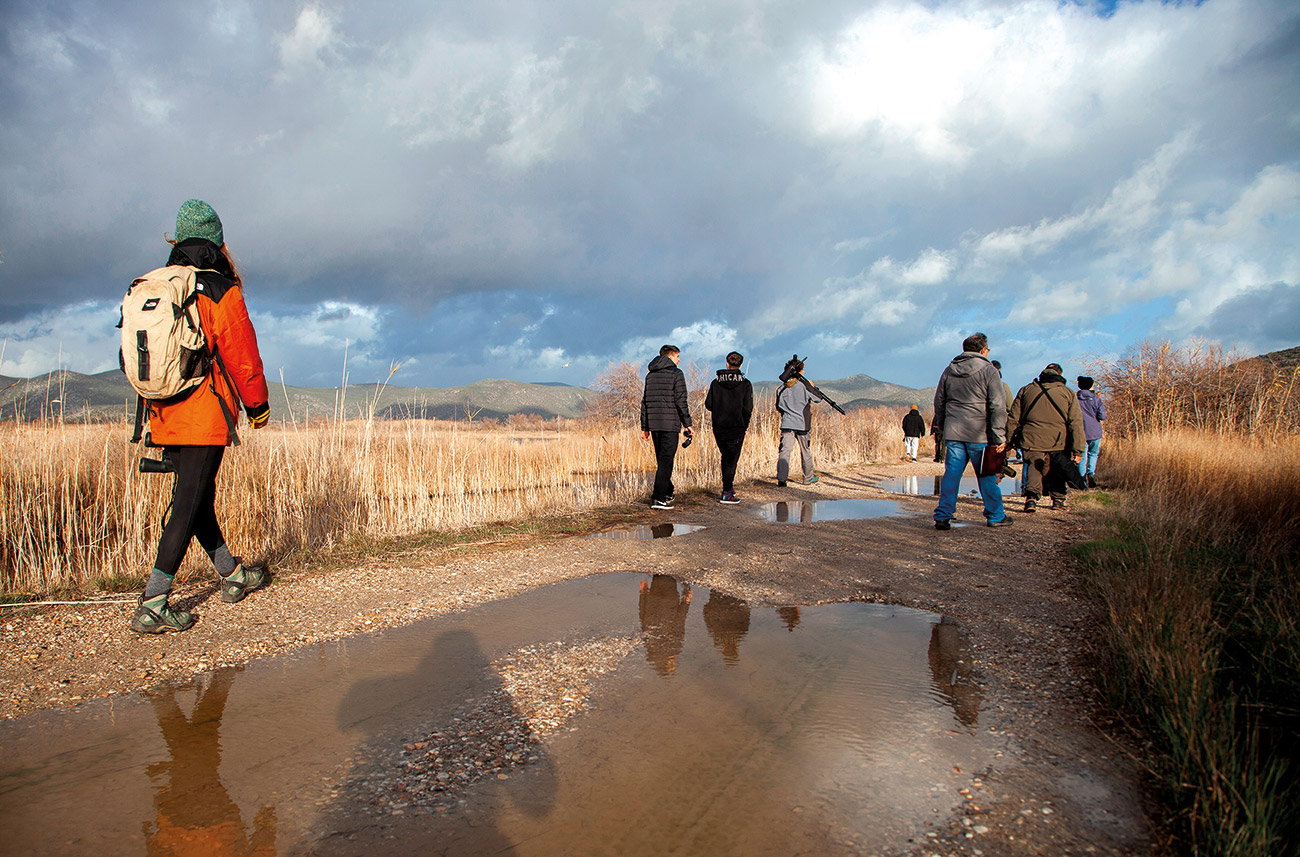 Ραντεβού στου Σχινιά για ορνιθοπαρατήρηση-2