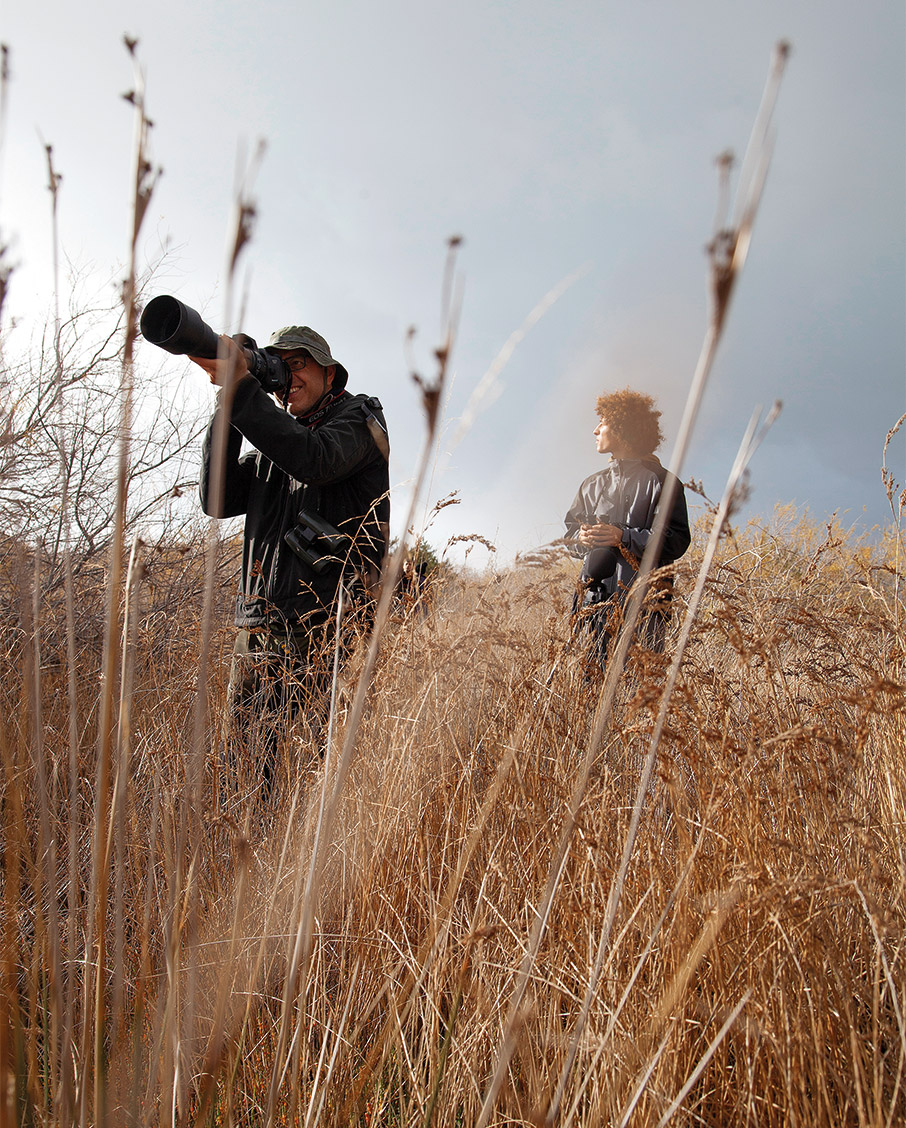 Ραντεβού στου Σχινιά για ορνιθοπαρατήρηση-1