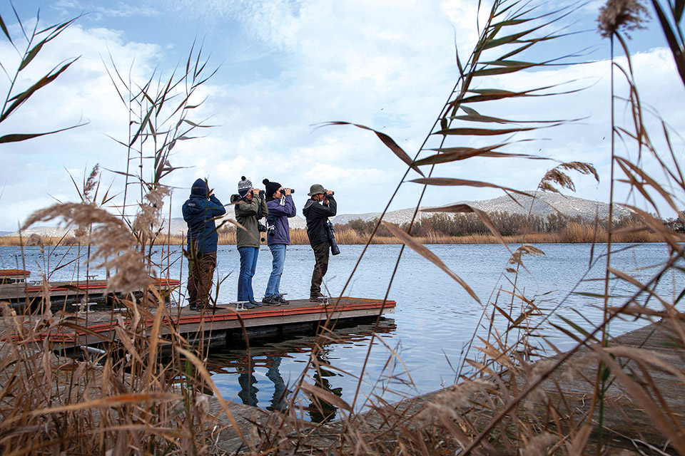 Ραντεβού στου Σχινιά για ορνιθοπαρατήρηση-3