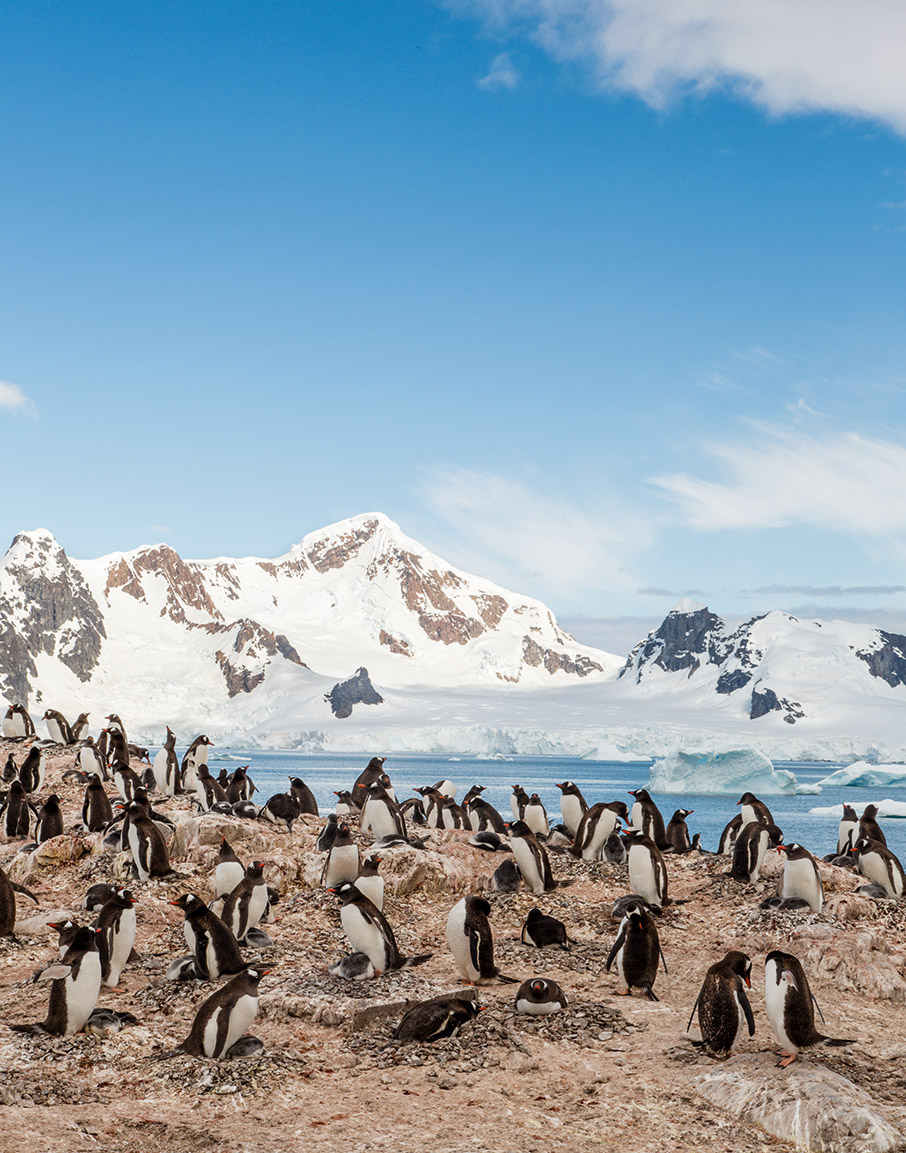 Ανταρκτική: Πλέοντας με φουσκωτό στα «άκρα» της ανθρώπινης εμπειρίας-1