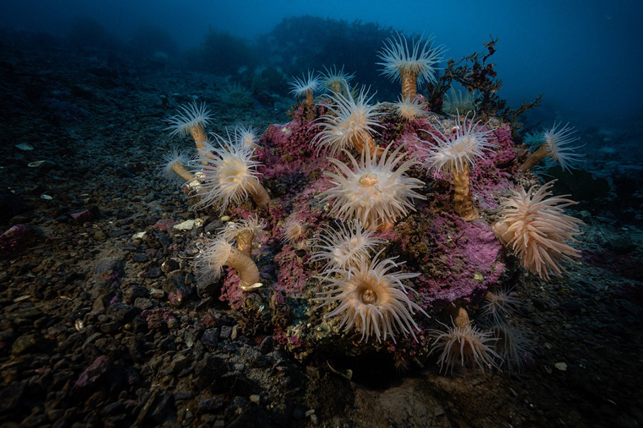 Η Rolex και μία μεγάλη ανακάλυψη στον βυθό της Αρκτικής-6