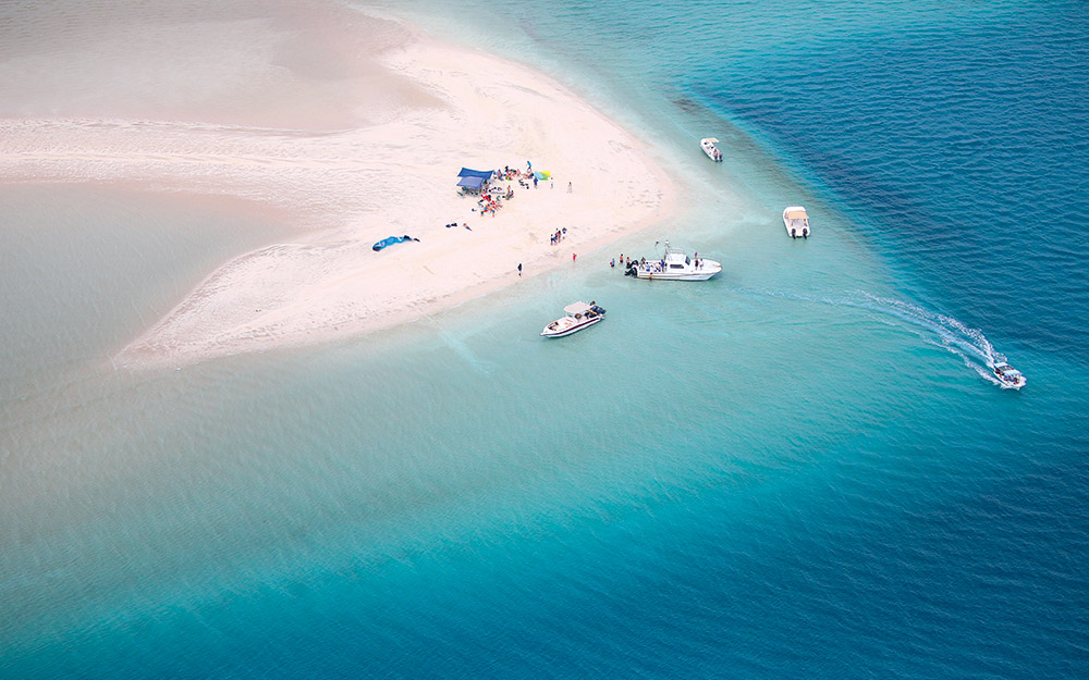 αφρική-από-τα-σπάνια-θηλαστικά-της-μοζ-562258711