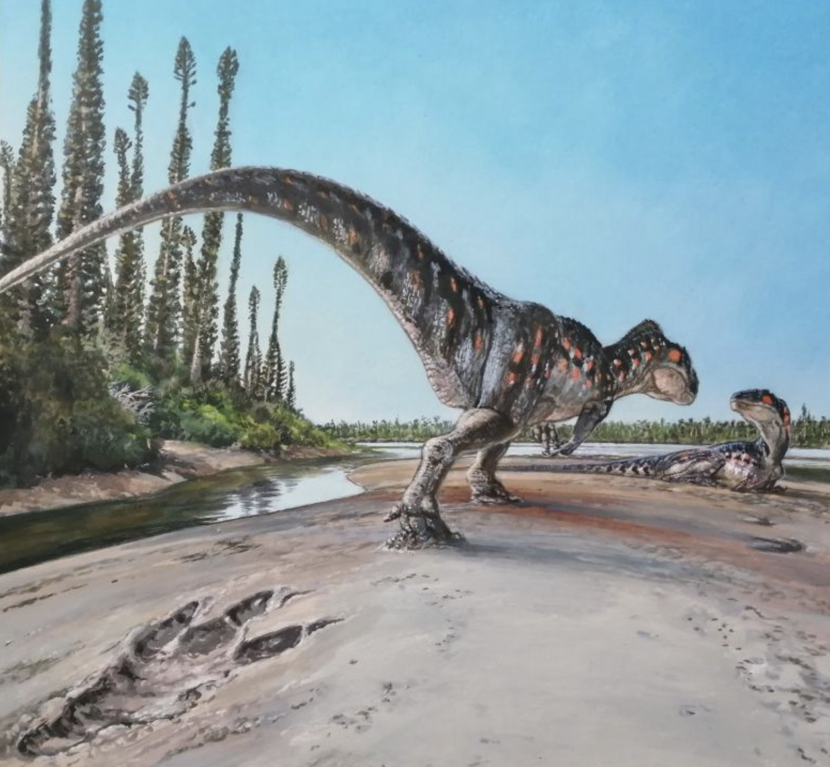 Το τεράστιο αποτύπωμα ενός δεινοσαύρου το οποίο άντεξε στον χρόνο-2